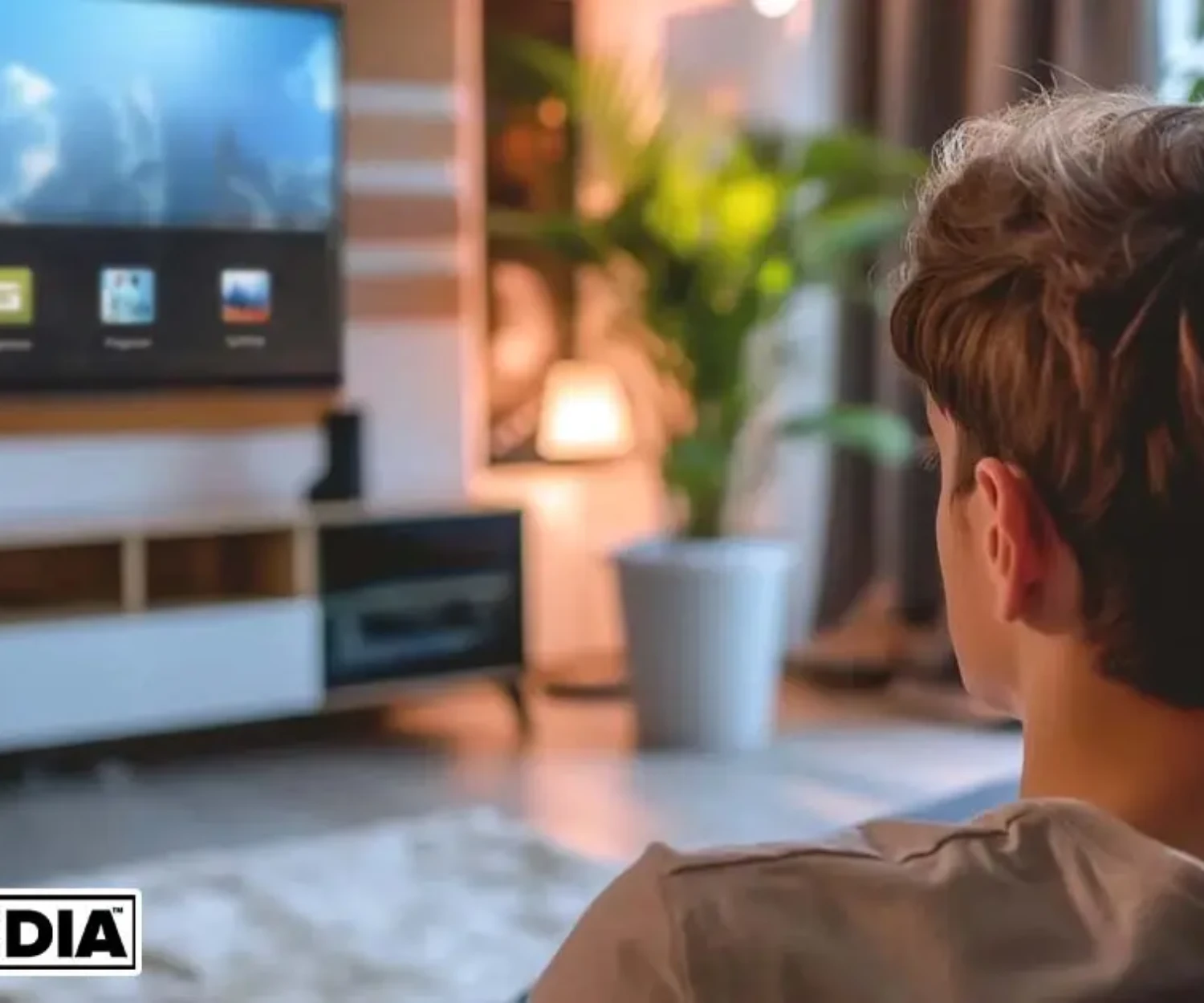 Mega Media - Blog - Connected TV Advertising for Small Businesses - Reach Local Audiences Like Never Before